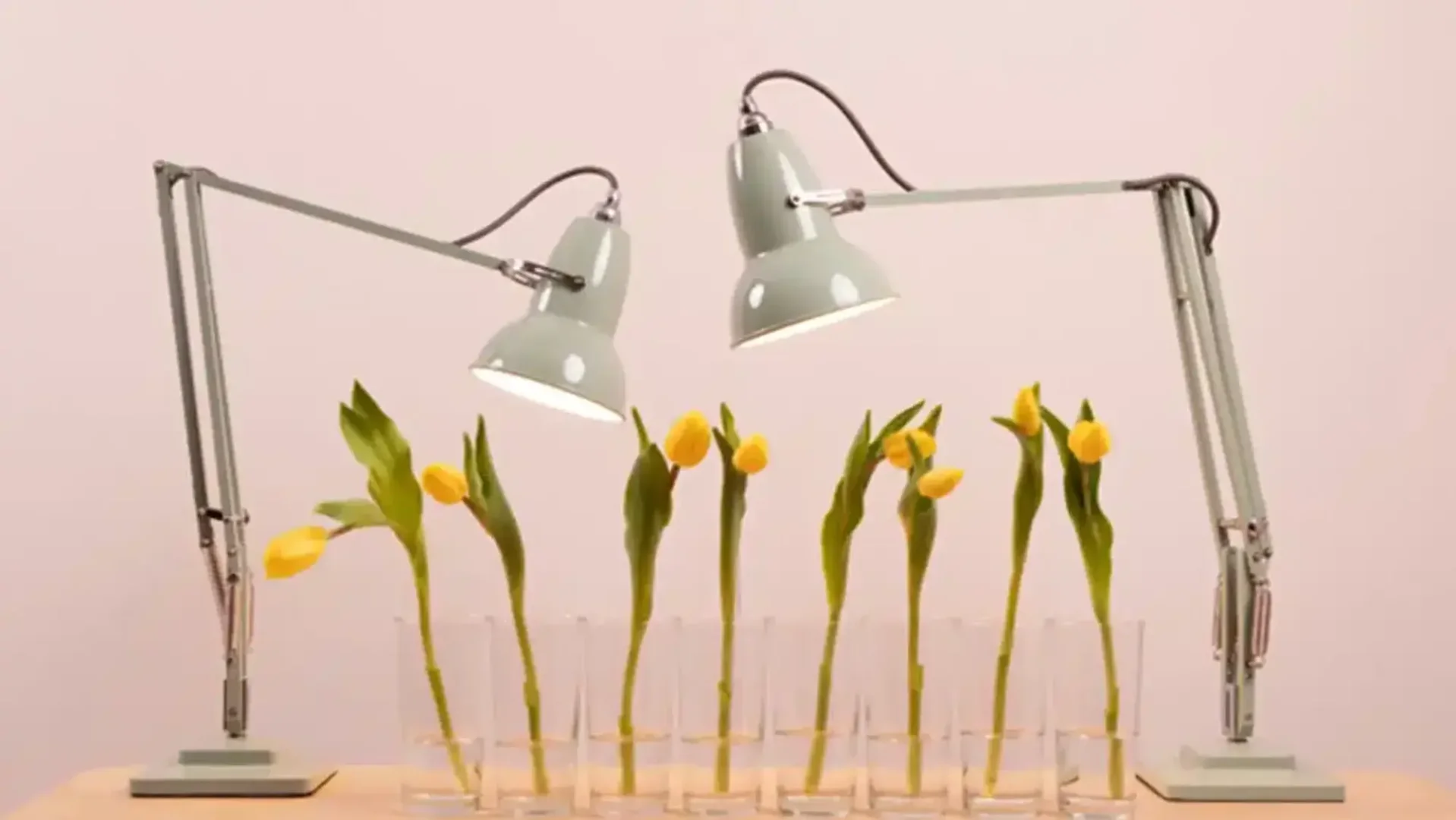 1805_Lampe_master-banner-promo-spring.jpg (1)