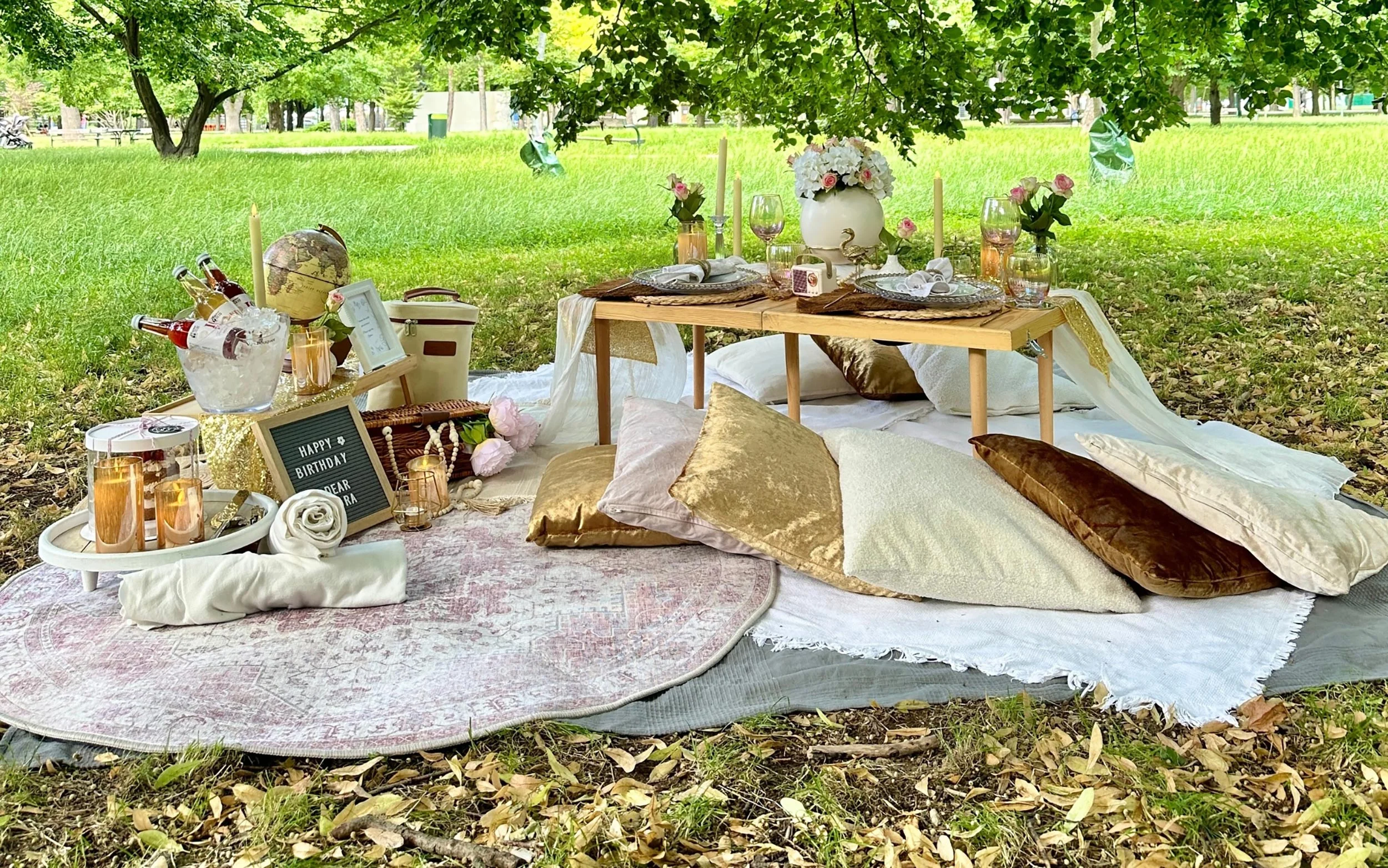 DD_Picknick-3